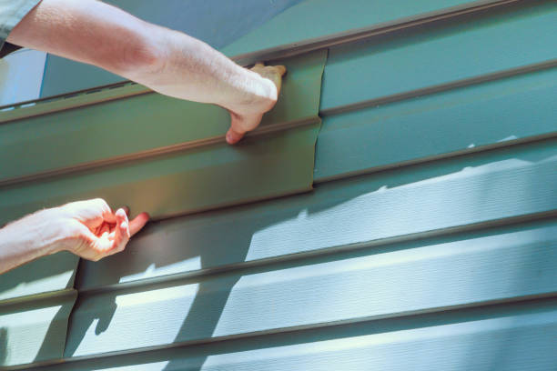 Siding Contractor